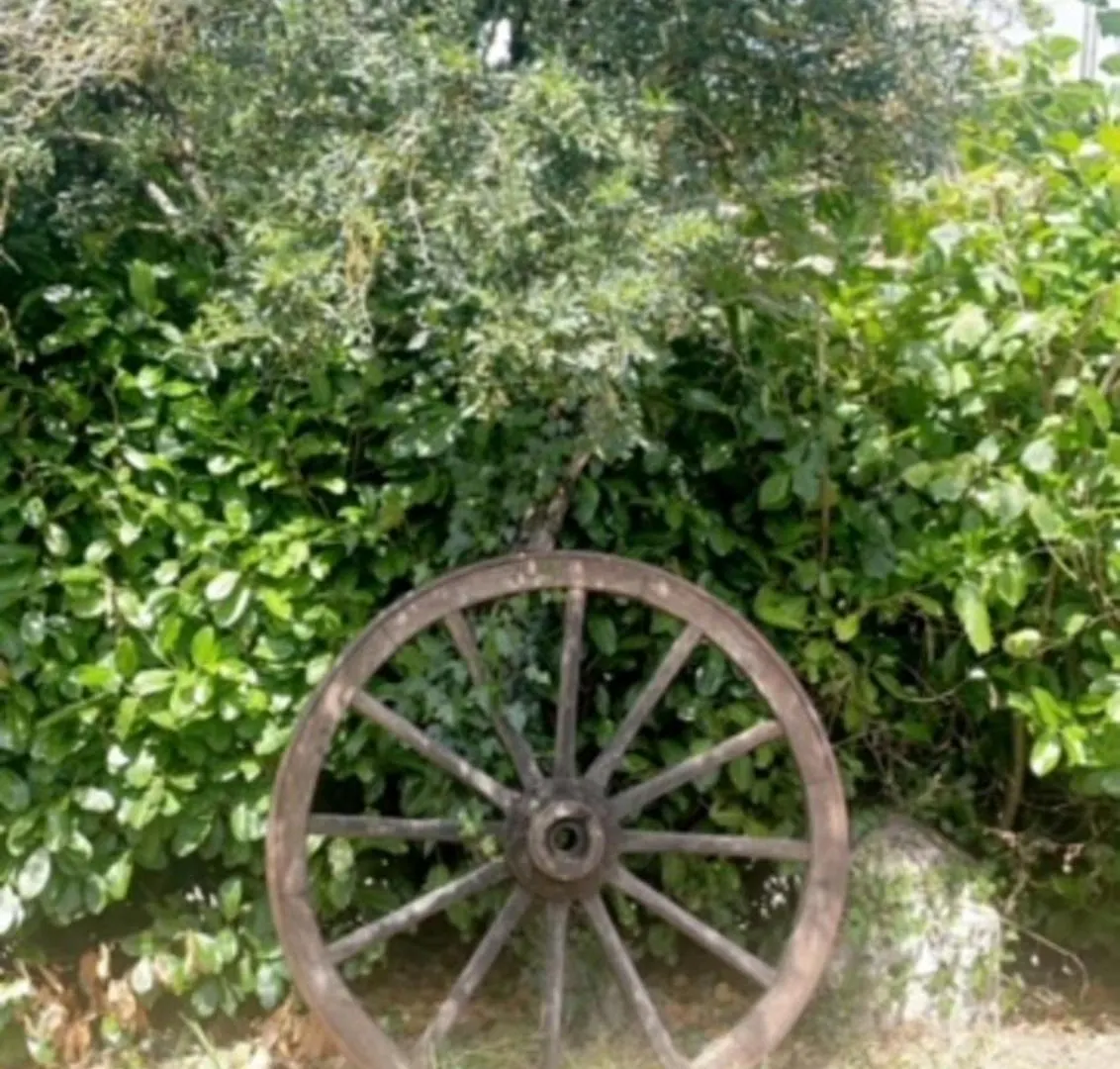 Castanet  La Grange Du Contoures Bed & Breakfast Castanet (Aveyron)